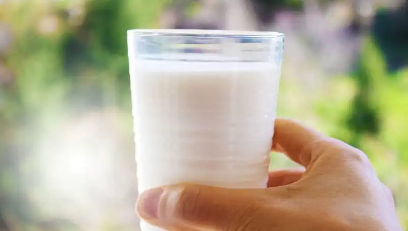 Süt Tüketiminin Şişkinlik Üzerindeki Etkileri: Uzman Yorumu
