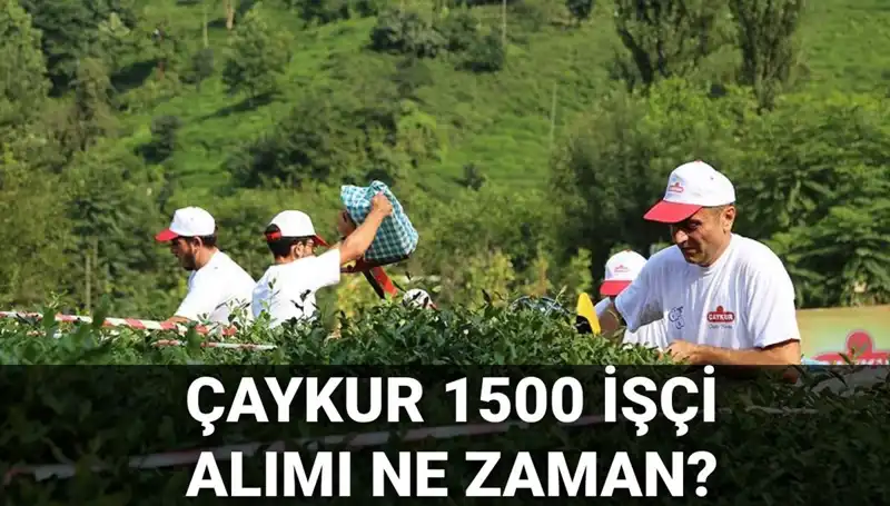 Çaykur İşçi Alımı Başvuru Tarihleri Açıklandı! Fırsatları Kaçırmayın