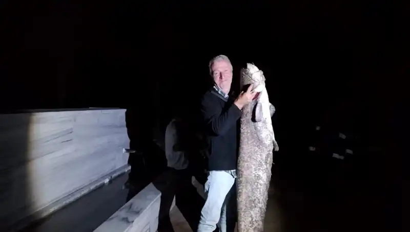 Dev Balık Avı: 40 Kilo Ağırlığında Oltaya Takıldı