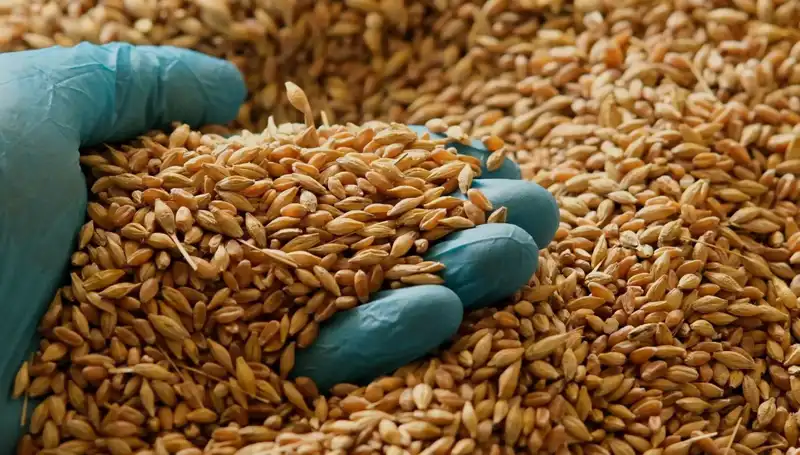 Kalp Hastalığı Riskini Azaltan Beslenme Alışkanlıkları: Uzmanından Tavsiyeler