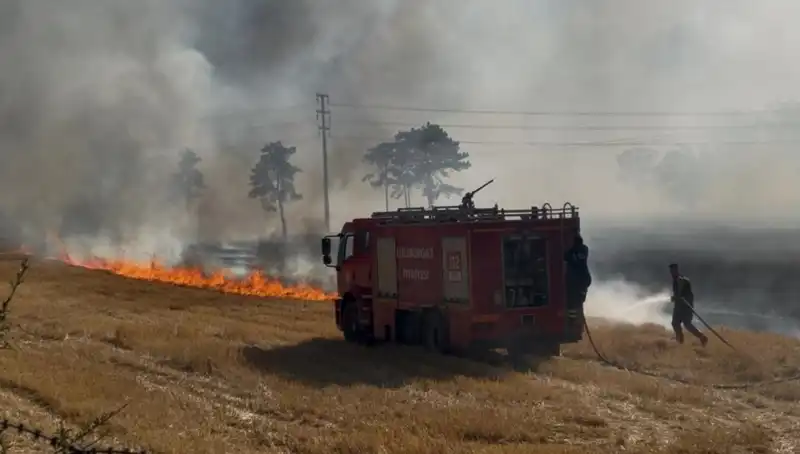 Kırklareli'nde Korkutan Anız Yangını: Neler Yaşandı?