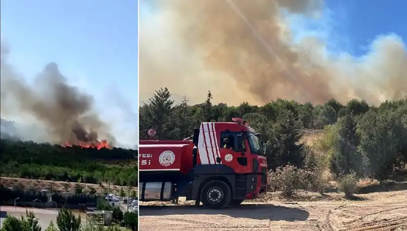 Gebze'de Günlerdir Süren Orman Yangını, Yerel Halkı Tedirgin Ediyor