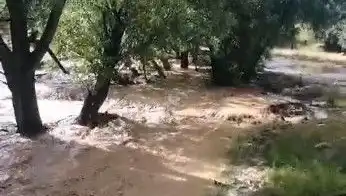 Mersin'de Aniden Bastıran Sağanak Yağışların Yol Açtığı Felakette Neler Yaşandı?