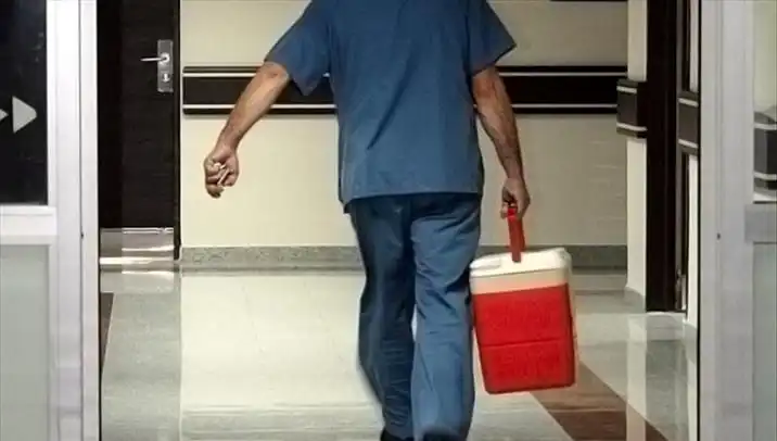 Organ Bağışı İçin e-Devlet Dönemi: Tüm Detaylar Burada