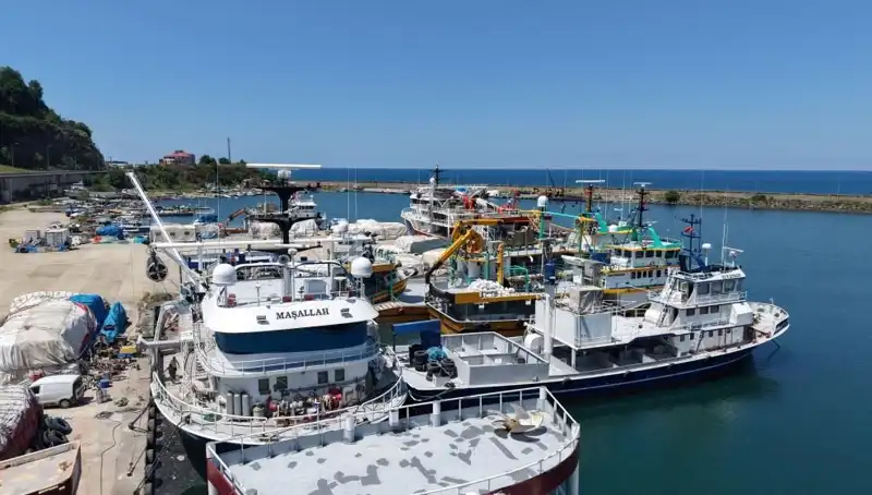 Karadeniz’de 1 Eylül İçin Heyecan Dorukta: Neler Olacak?