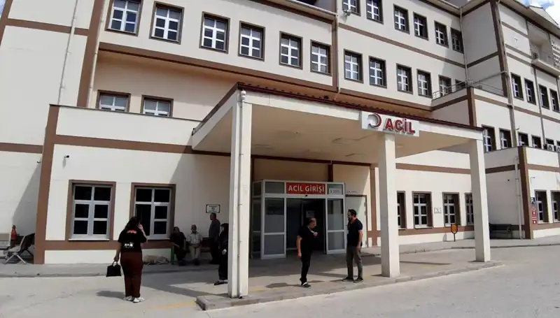 Bolu’da Tartışmalı Ayı Avı Kararı: Doğanın Korunması mı Ekonomik Çıkarlar mı?