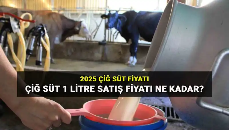Çiğ Süt Fiyatları 2025 Yılı İçin Belirlendi: Tüketiciyi Ne Bekliyor?