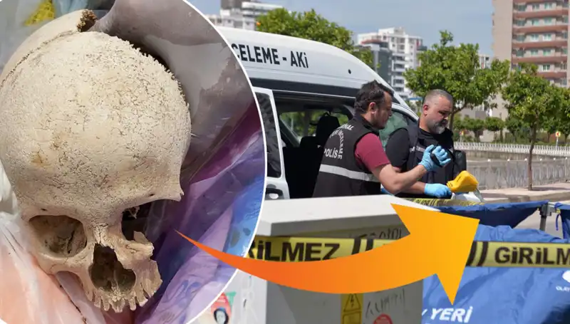 Çöp Alanında Bulunan Kafatasının Gizemi ve Skandal: Uzman Doktor Gözaltında!