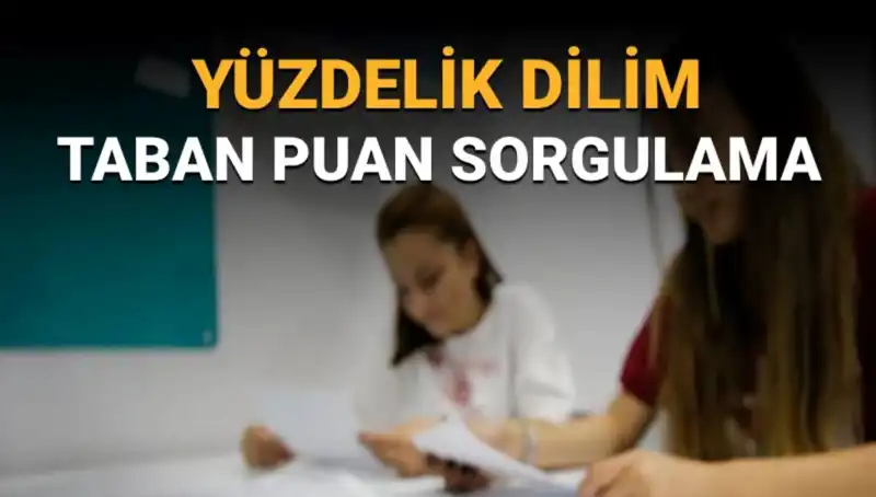 LGS 2025 Taban Puanları ve Yüzdelik Dilim Sorgulama Rehberi