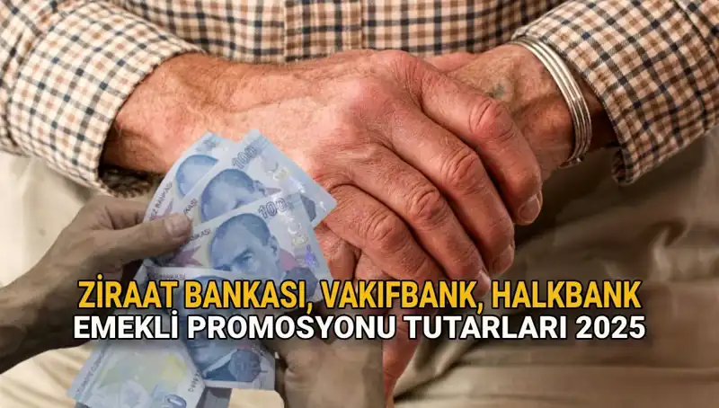 2025'te Emekli Banka Promosyonu Ödemeleri: Ziraat, Vakıfbank ve Halkbank Farkları