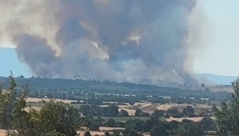 Komşudaki Orman Yangını Edirne’yi Tehdit Altına Aldı: Dumanlar Şehri Kapladı