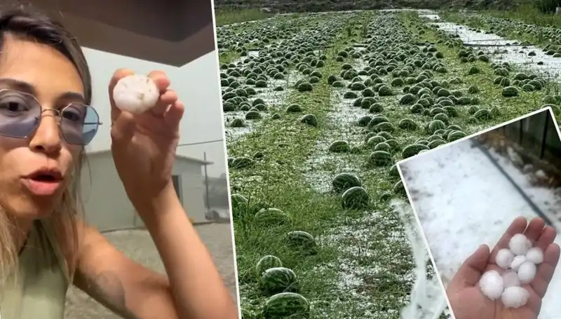 Antalya'ya Dolu ve Hortum Sonrası Gözyaşlarıyla Anlatılan Kayıplar