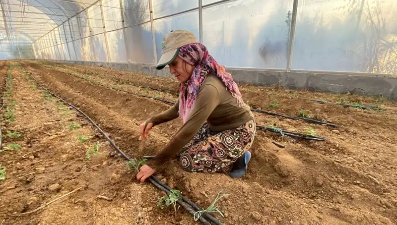 Fideler Toprakla Buluştu: Doğal Gıda Üretimi İçin Var Güçleriyle Çalışıyorlar
