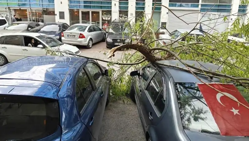 Kayseri'de Dalları Kıran Fırtına: Şehirde Oluşan Zararlar ve Tedbirler