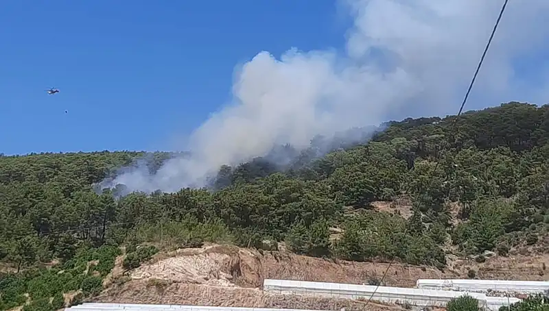 Kumluca'da Korkutan Orman Yangını: Yangın Sona Erdi, Hasar Büyük