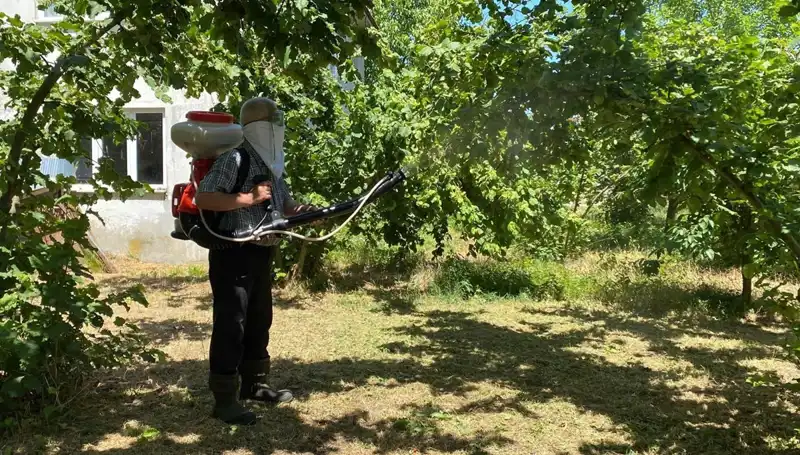 Çiftçilerin Beklentisi: Kükürt Ve Samuray Arısının Gücü