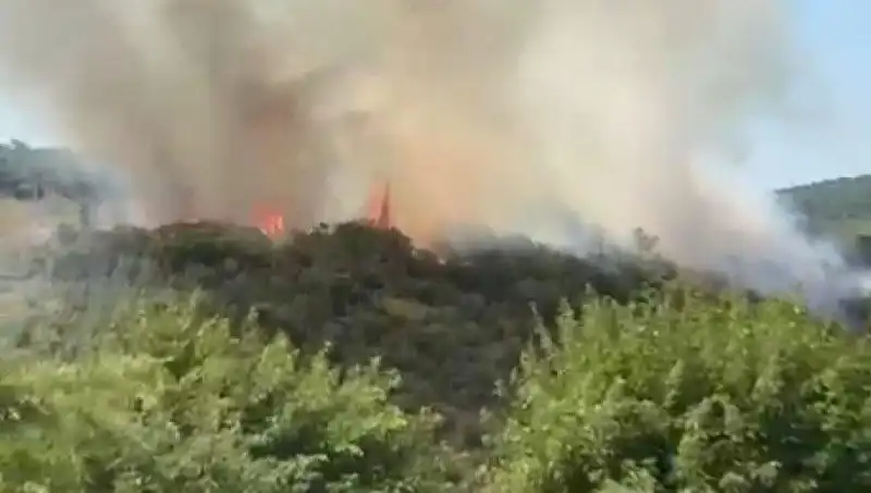 İstanbul Orman Yangını: Vatandaşlar Tahliye Edildi, Risk Hala Devam Ediyor
