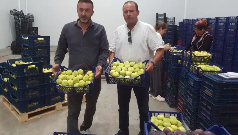 Mersinli Çiftçinin Yüzü Güldü: İhraç Edilen Ürünlerin Değeri Artıyor